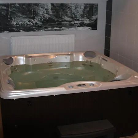 Divoký Anděl Aparthotel Dolní Moravice