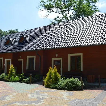 Divoký Anděl