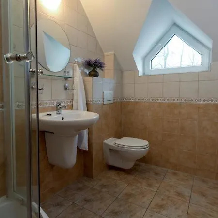 Divoký Anděl