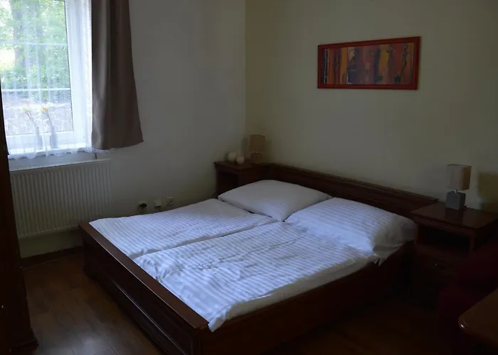 Divoky Andel 3* Dolní Moravice