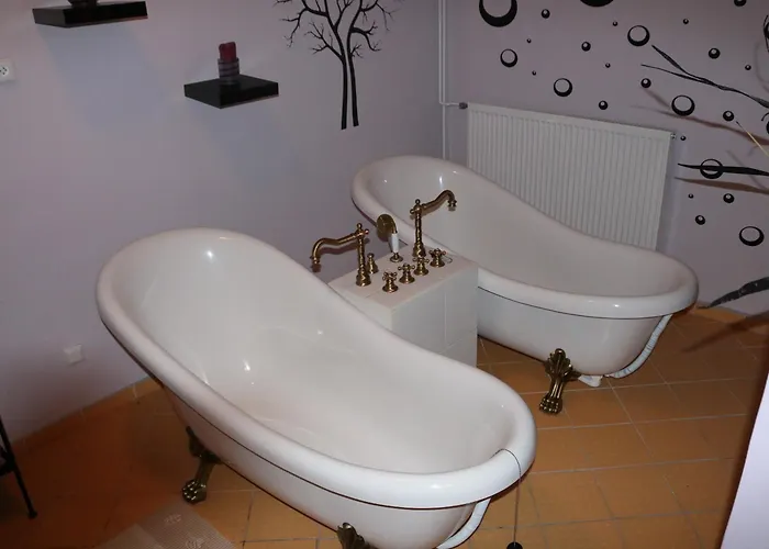 Divoky Andel Hotel apartamentowy Dolní Moravice